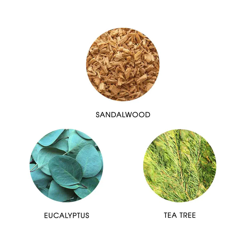 Le Temps des Songes, Eau de Parfum, FiiLiT Parfum du Voyage