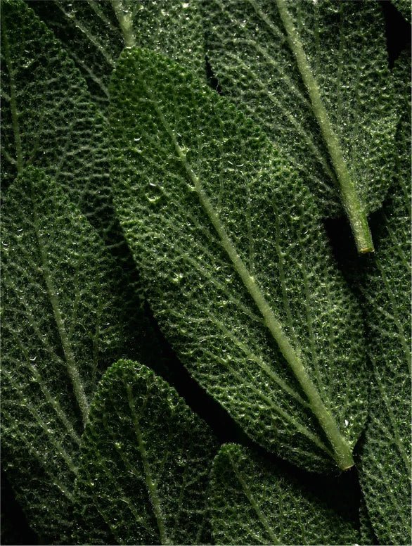 Lamidibeauty Keratin Volumen Boost Conditioner in einer Flasche, zeigt die Verpackung auf einem weißen Hintergrund