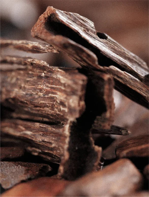 Lamidibeauty Keratin Volume Boost Conditioner in einer geöffneten Flasche mit schimmerndem Produkt und Shampoo-Design.